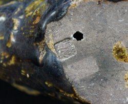 Kamo Oribe duck 1842