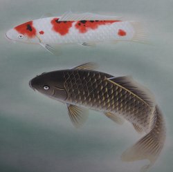 Koi carps scroll 1970