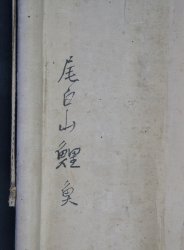 Ojiroyama carp 1700