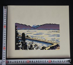 Modernist Fuji 1970