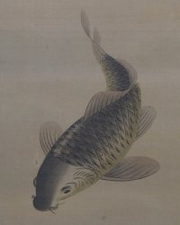 Koi carp scroll 1930