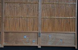 Japan bamboo screen 1950