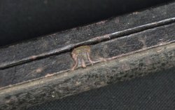 Rock crystal Kanzash 1900