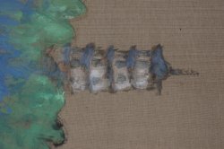 Hasaguro silk painting 1900s craft