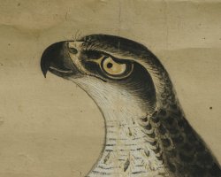 Takagari falconry painting 1800