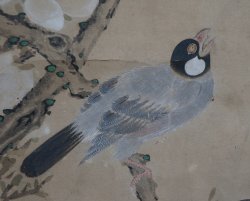 Eunkaido birds 1700