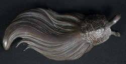 Kame bronze sculpture 1800