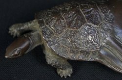 Kame bronze sculpture 1800