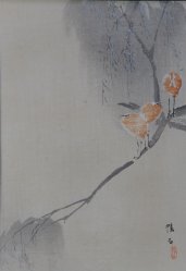 Kamoishi Sugi birds 1908