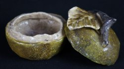 Kogo incense holder Raku 1900