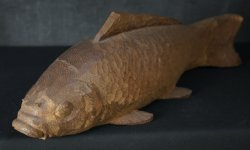 Koyama Koi carp 1970