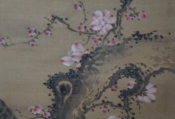 Ume-Taka Tadashi Kiyasu 1700