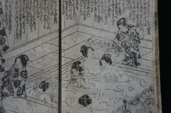 Antique E-hon woodblocks 1848