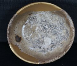 Sencha-Chawan tea kiln craft 1900