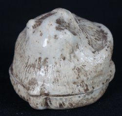 Saru Kogo monkey 1900