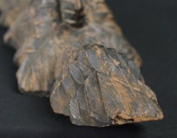 Primitive Enku sculpture 1900