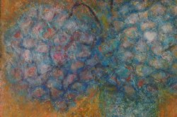 Ajisai Hydrangea 1973