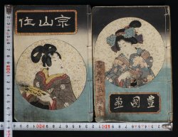 Antique E-hon woodblocks 1848