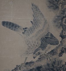 Antique Japan falcon Taka 1800