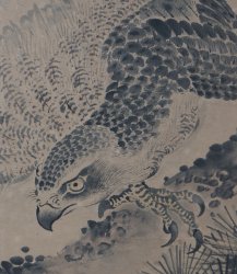 Antique Japan falcon Taka 1800