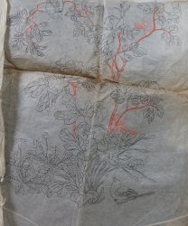 Antique manuscript sketch 1800