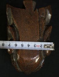 Antique Shishi carving1880