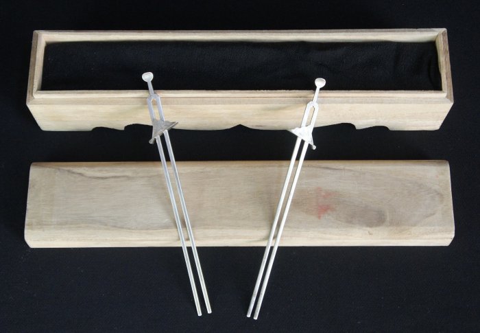 Maiko sensu kanzashi 1900