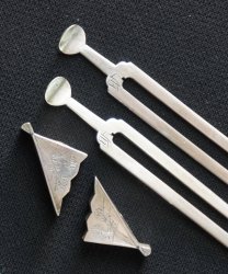 Maiko sensu kanzashi 1900