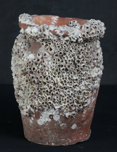 Antique Takotsubo octopus vase 1800
