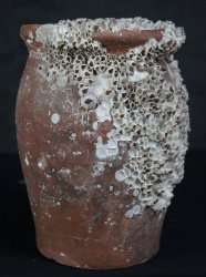 Antique Takotsubo octopus vase 1800