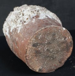 Antique Takotsubo octopus vase 1800