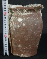 Antique Takotsubo octopus vase 1800