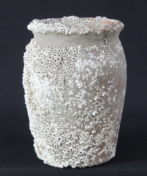 Takotsubo vase trap 1800