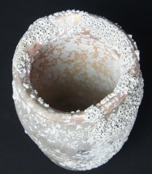 Takotsubo vase trap 1800
