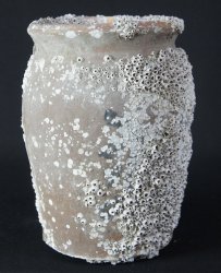 Takotsubo vase trap 1800