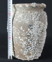Takotsubo vase trap 1800