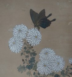 Antique wild flowers and insects 1800