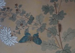 Antique wild flowers and insects 1800