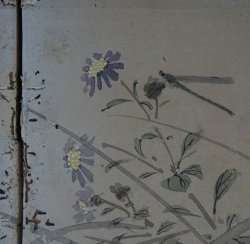 Antique wild flowers and insects 1800