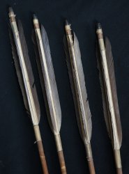 Archery Tsubaki arrow 1900