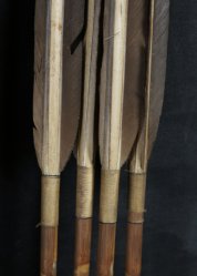 Archery Tsubaki arrow 1900