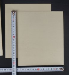 Autumn Minimalist 1880