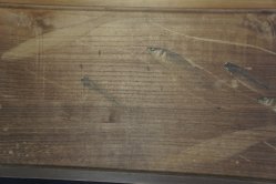 Ayu sliding door 1900