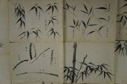 Bamboo Sumi-e sketch 1900s