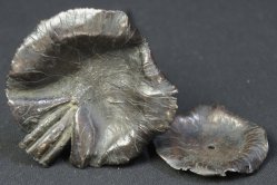 Beppuzaiku craft 1800