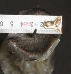 Beppuzaiku craft 1800