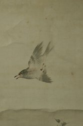 Bird scroll 1950
