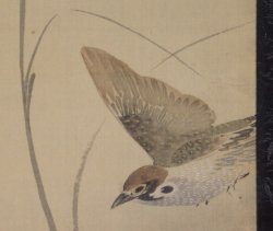 Birds in autumn mist 1950