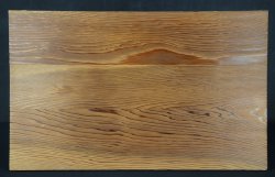 Bonsai stand 1980 Sugi-Matsu