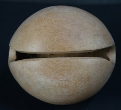 Buddhist percussion drum 1970